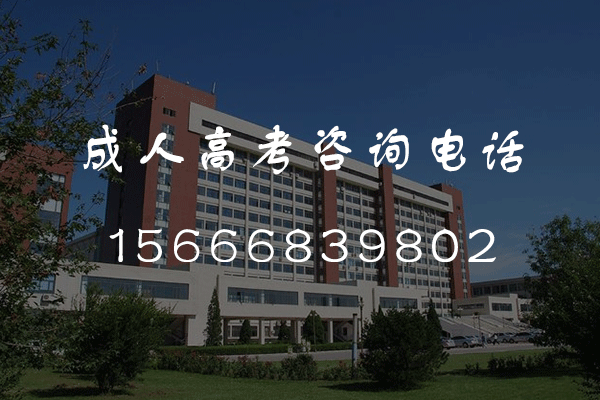 2024年东营成人高考考几天？