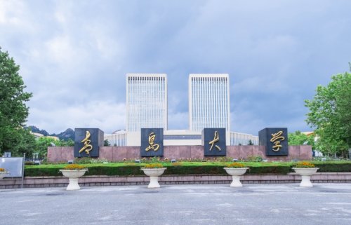 东营大学